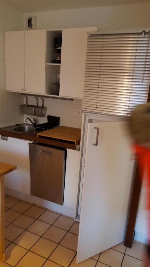 Studio 4 Personnes Samoëns Екстериор снимка
